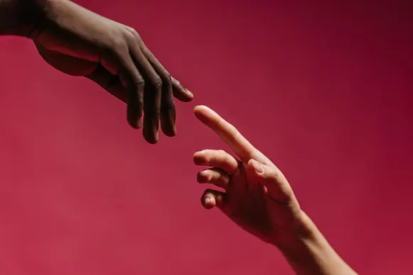 Kasino Vegas Crest Tuki